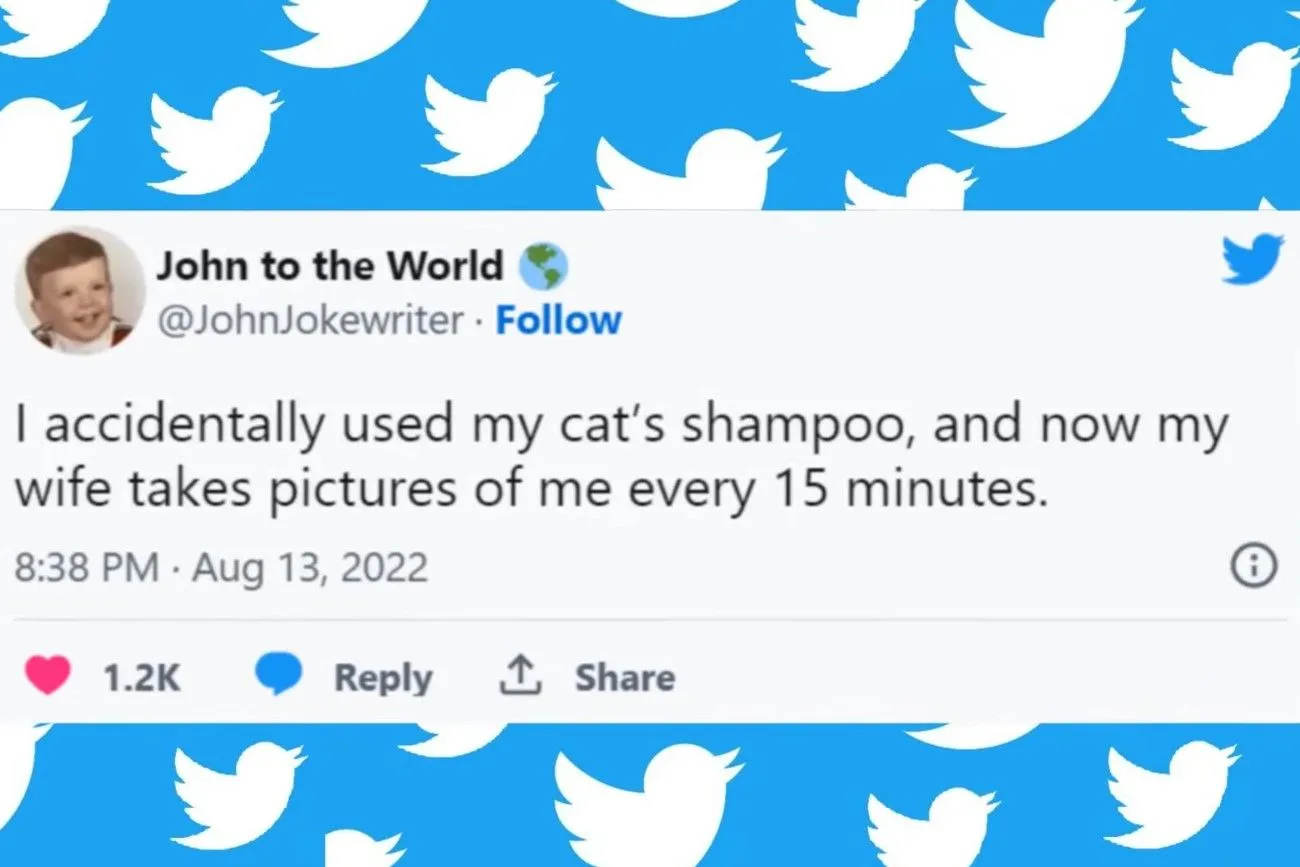 Good cat shampoo!.jpg?format=webp