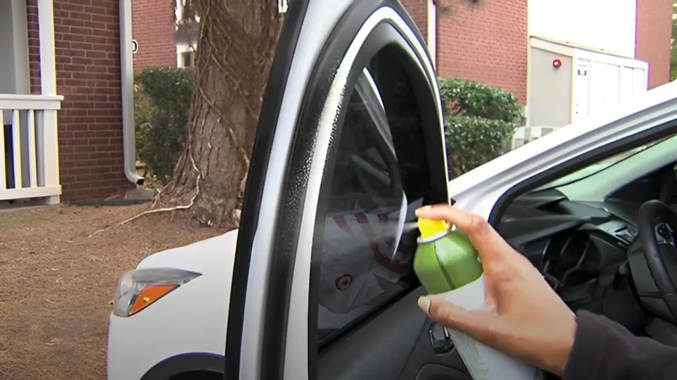 45. Spray the Car Door with Cooking Spray.jpg?format=webp