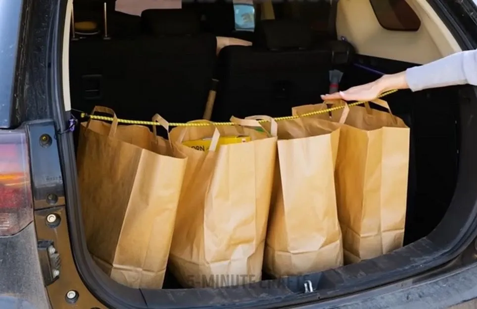 46. The Bungee Cord will Prevent the Bags of Groceries from Falling Out of the Trunk.jpg?format=webp