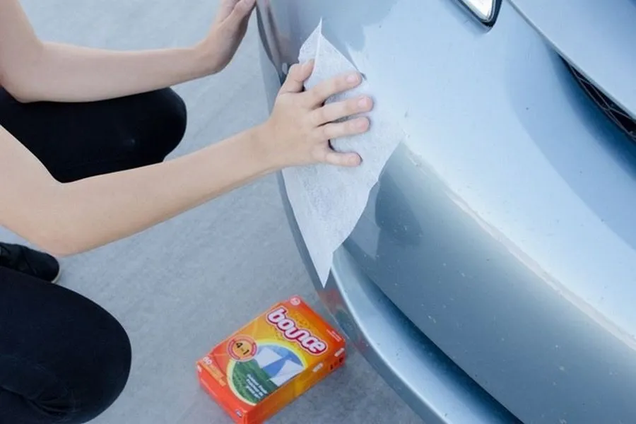 49. Dryer Sheets Against Dead Beetles .jpg?format=webp