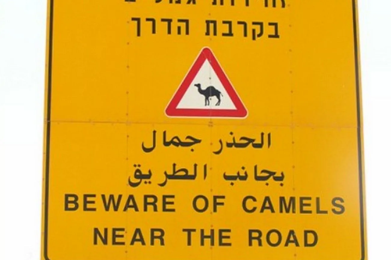 Camel Road sign.jpg?format=webp