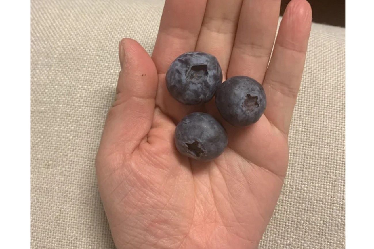 Massive blueberries.jpg
