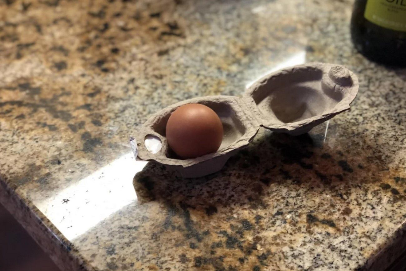 One carton egg.jpg