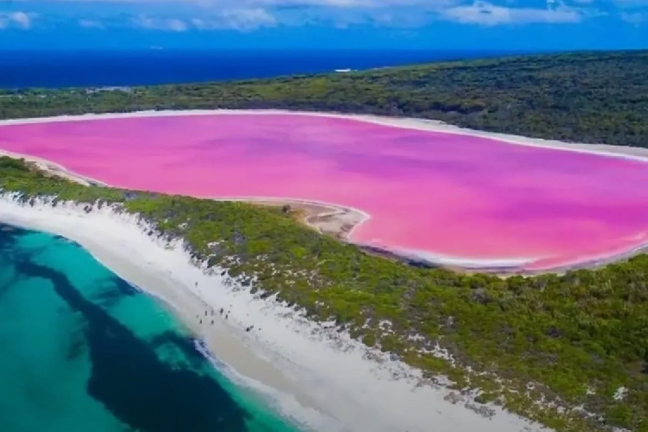 Pink Lake .jpg?format=webp